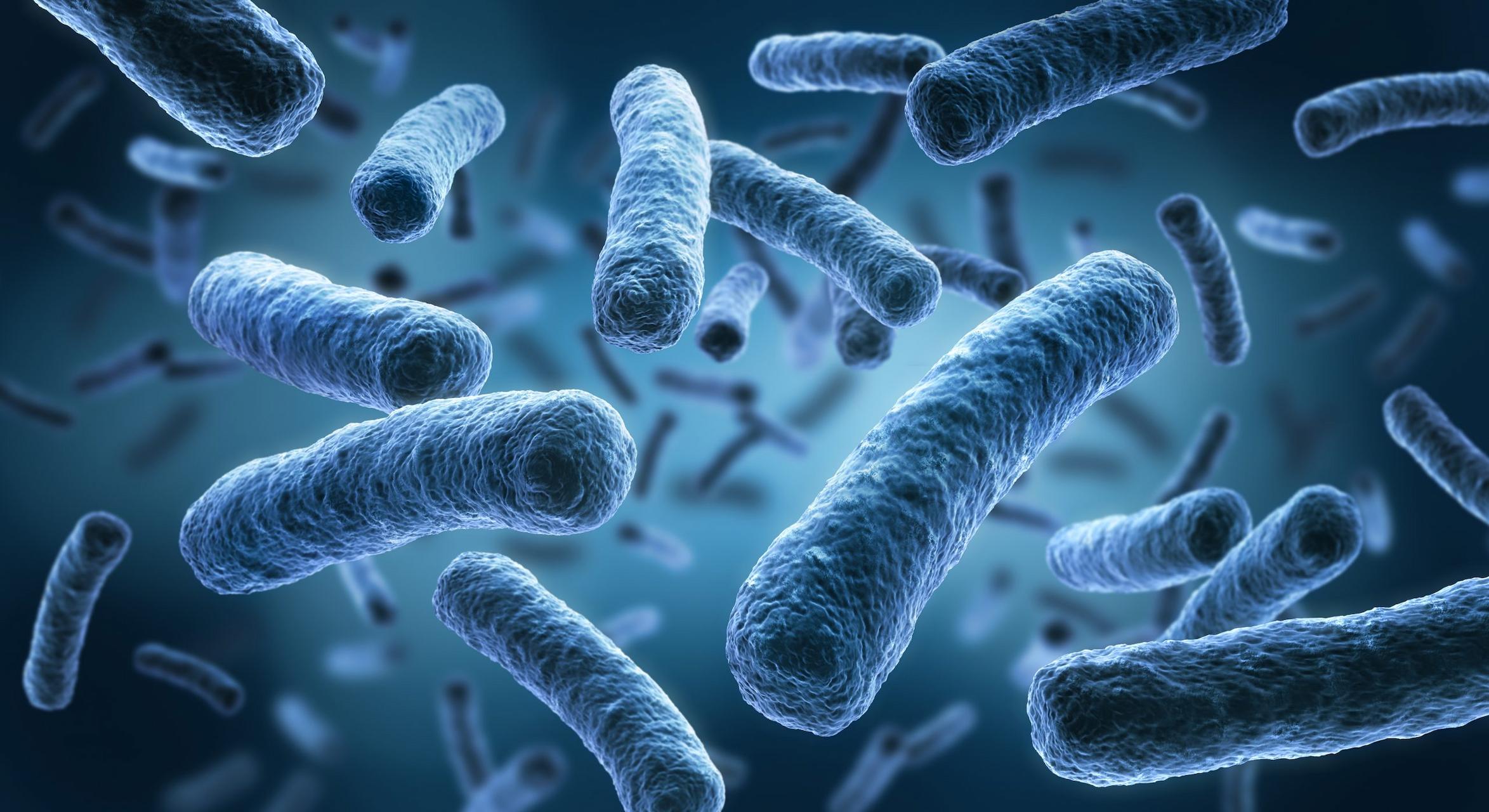 what-is-a-legionella-risk-assessment