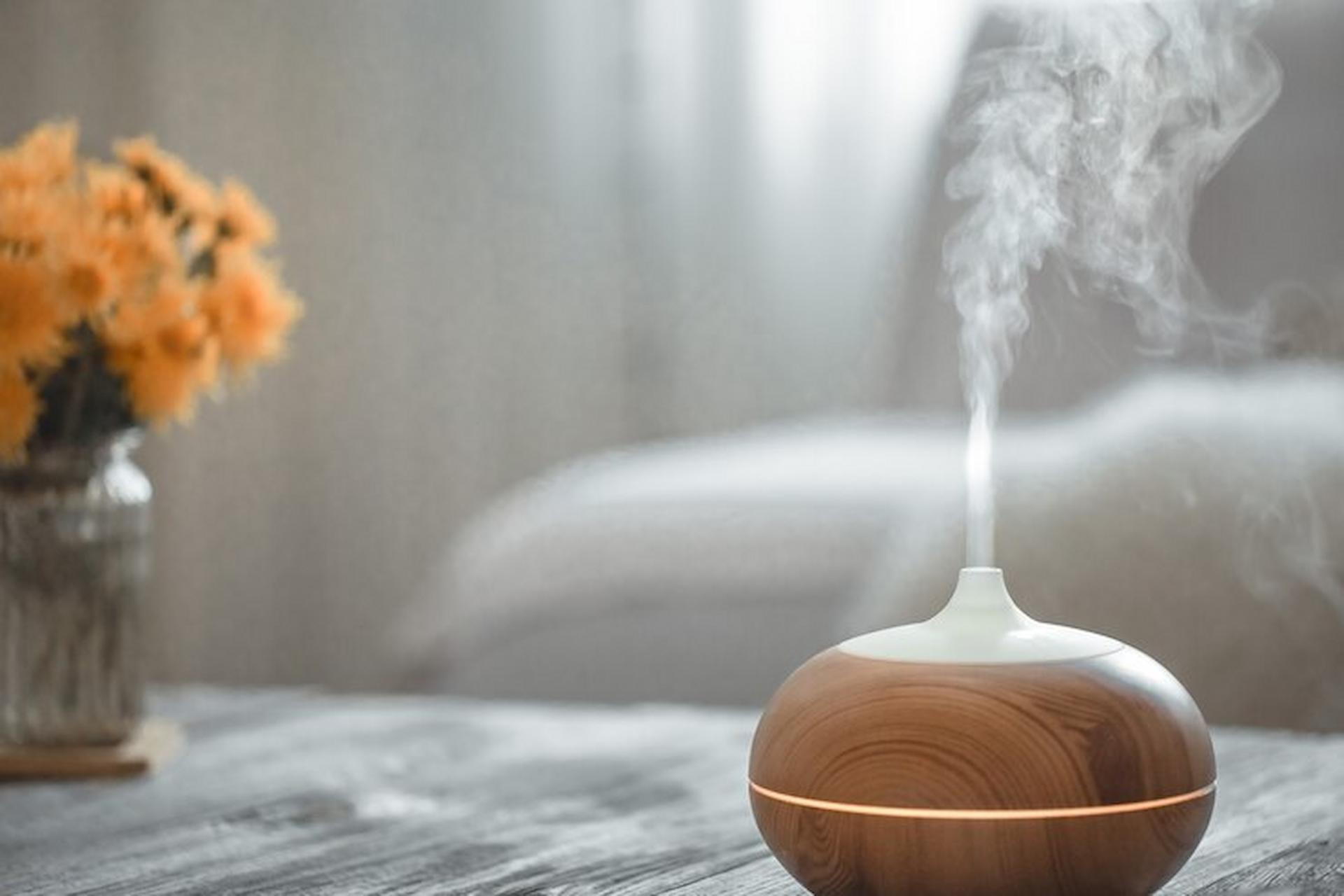 Naturally Existing Humidifier Install Eco-Friendly Humidifier At Your Home For A Healthy Lifestyle